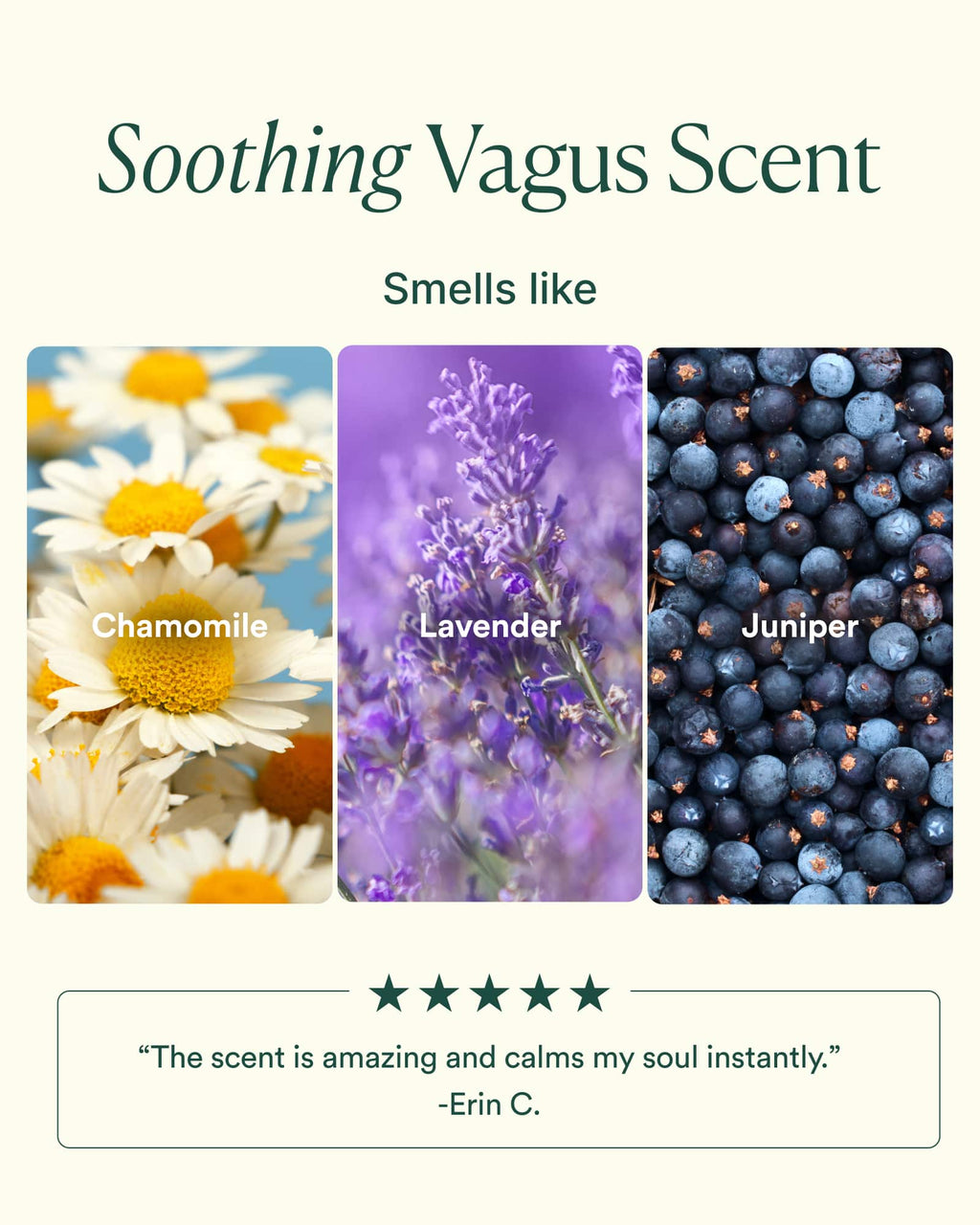 Vagus Nerve Travel Set