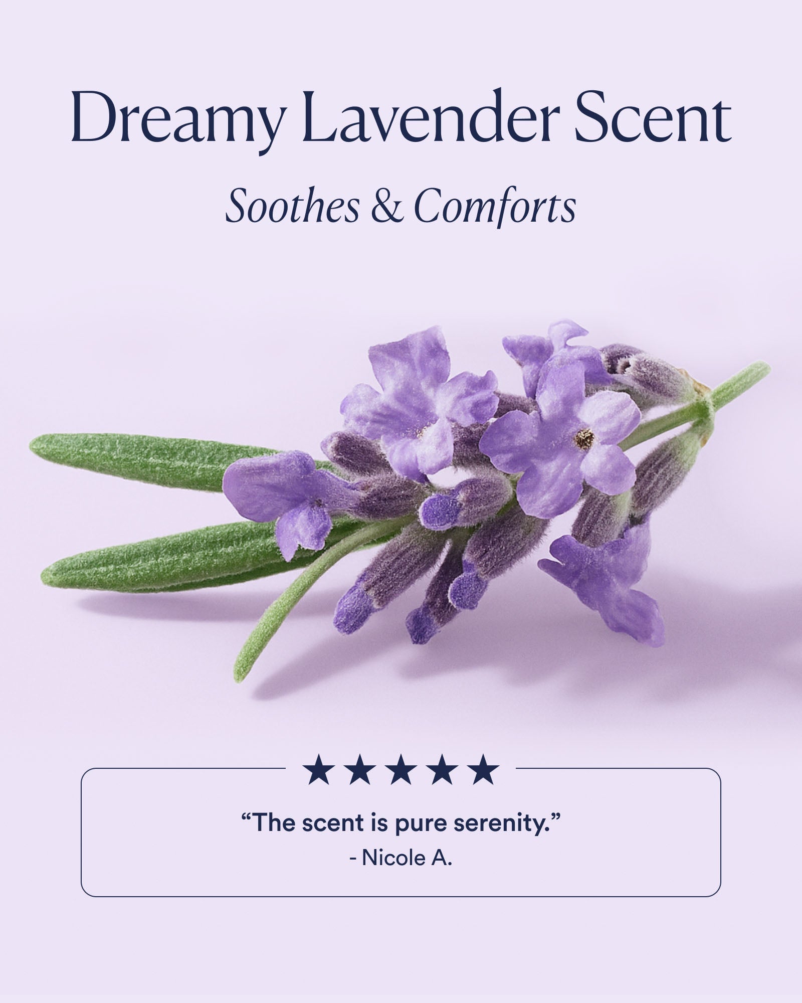 Dream Night Cream with Bio-Retinol