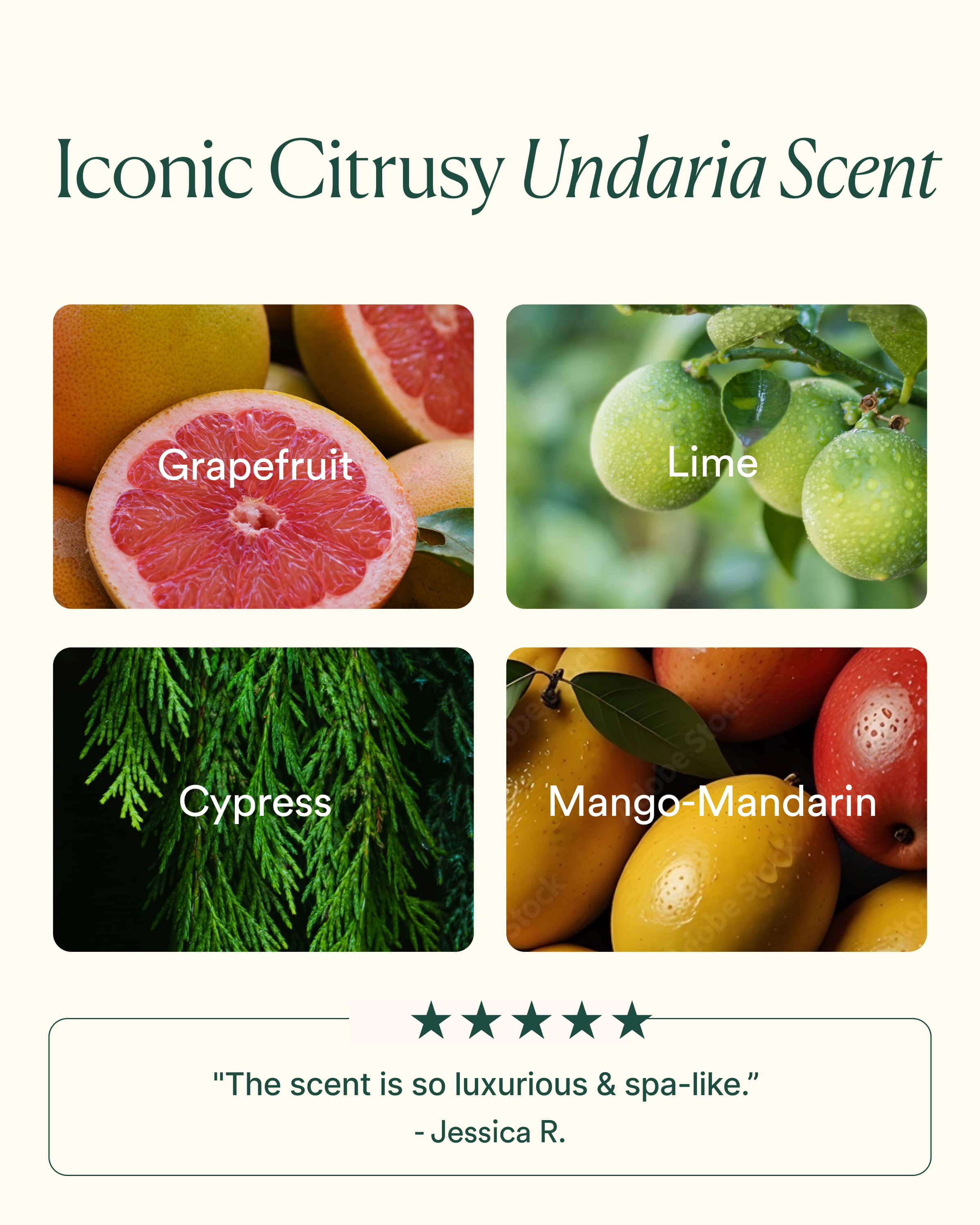 Undaria Hydrate & Glow Duo