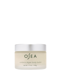 Undaria Algae? Body Butter Travel Size