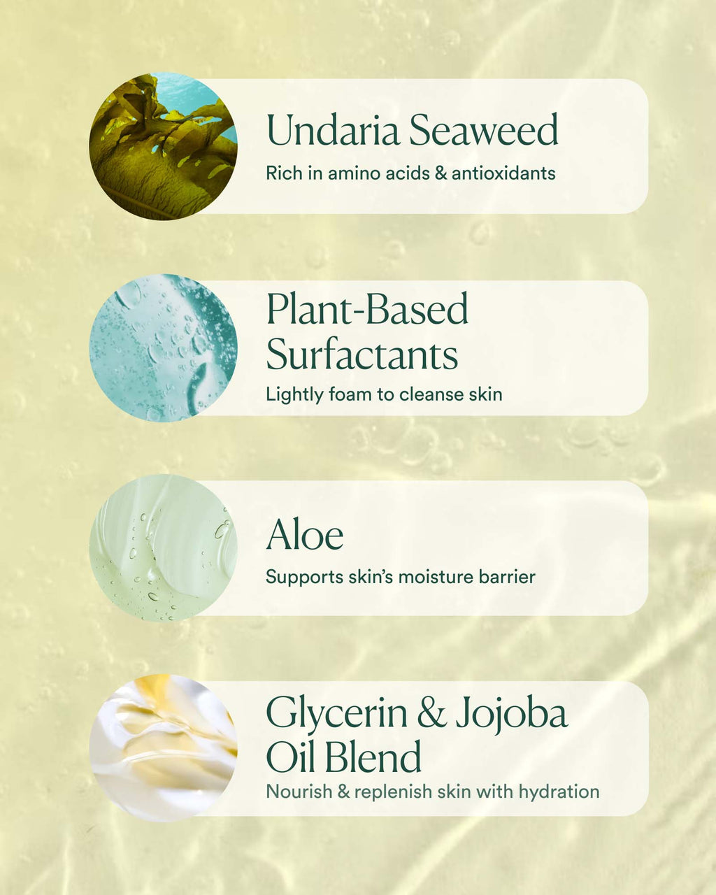 Undaria Algae? Body Wash