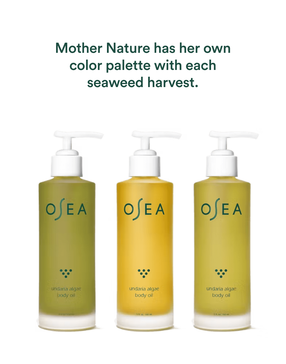 Undaria Algae? Body Oil Fragrance Free