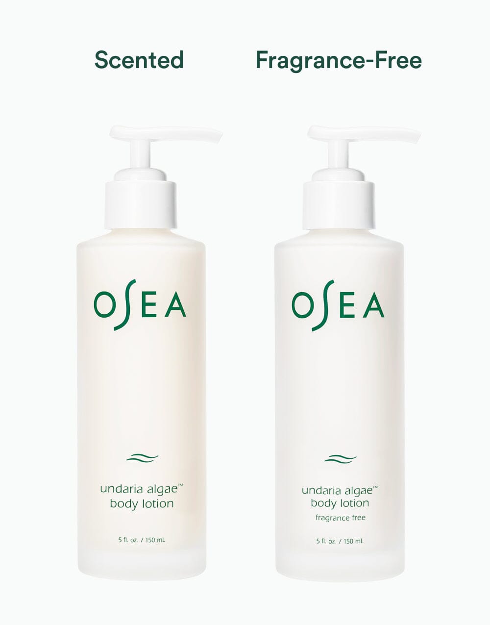 Undaria Algae? Body Lotion