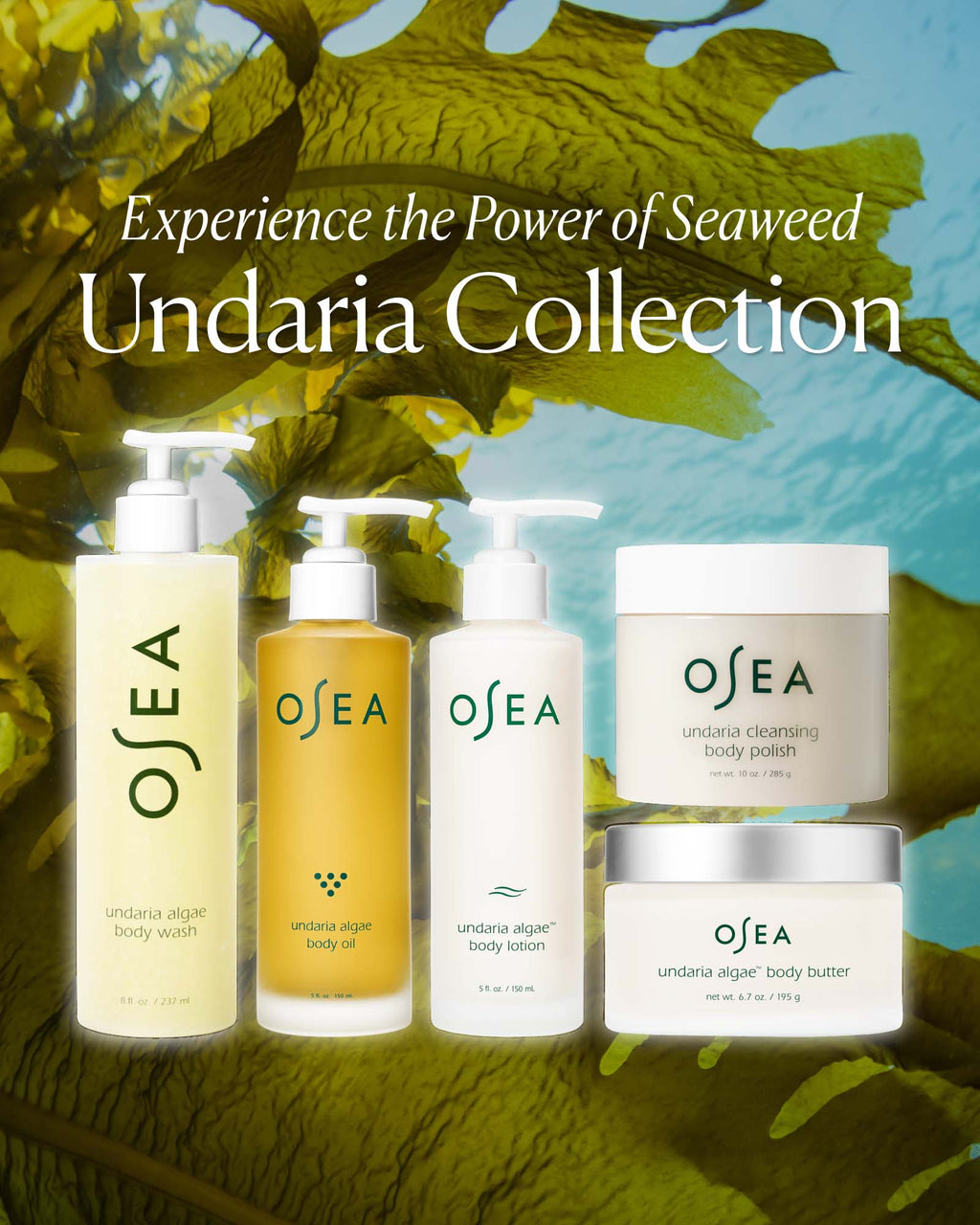 Undaria Algae? Body Lotion